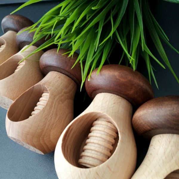 Wooden toy Mushroom with screw