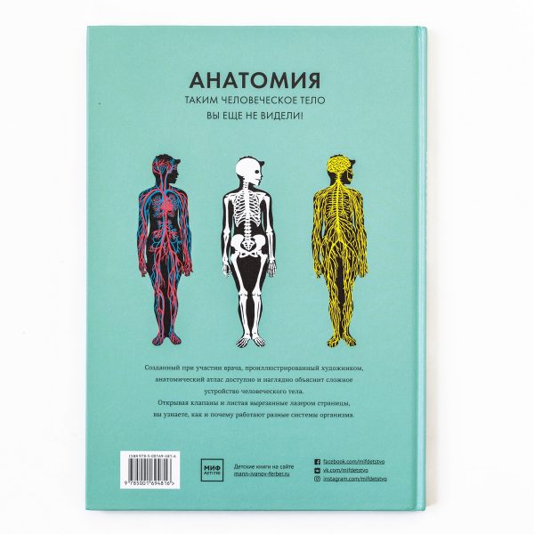 Anatomy : A Cutaway Look Inside the Human Body