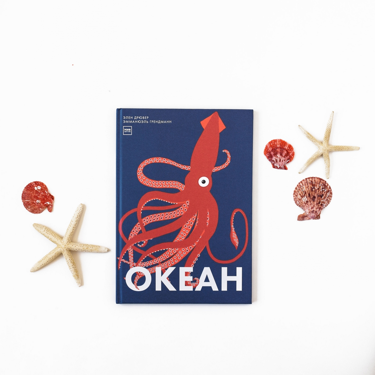 The Fascinating Ocean Book for Kids (Spiral Bound) – Lay it Flat Publishing  Group